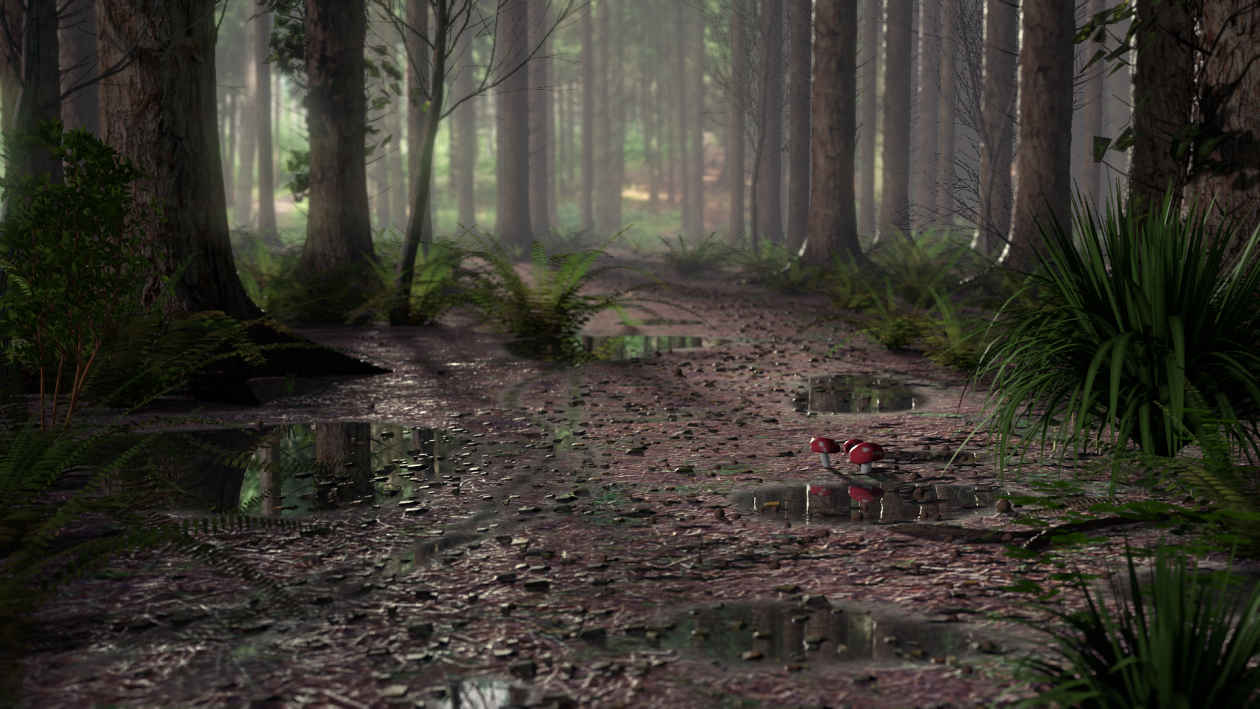 Forest scene